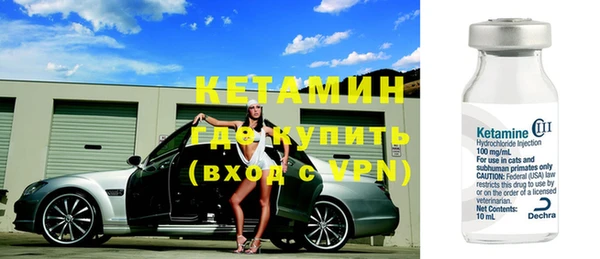 индика Богданович