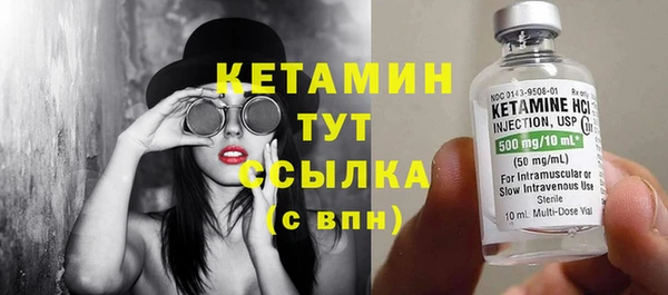 индика Богданович