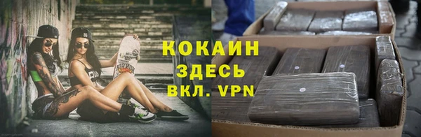 индика Богданович