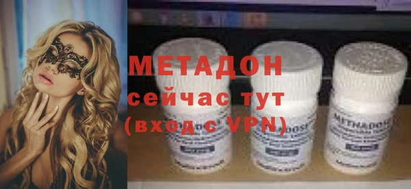 индика Богданович