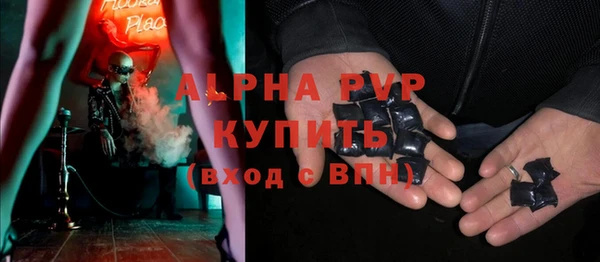 индика Богданович