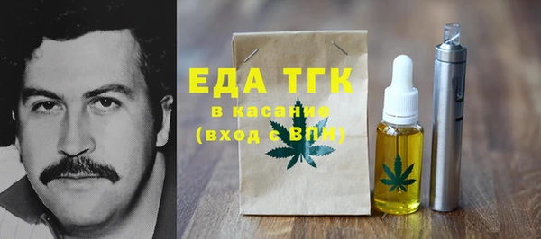 индика Богданович