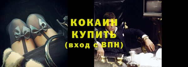 индика Богданович