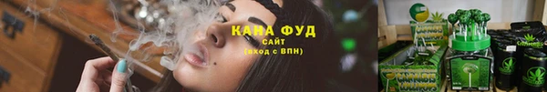 индика Богданович