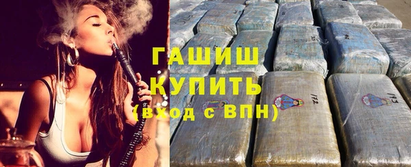 индика Богданович