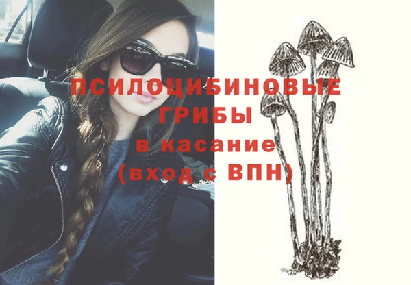 индика Богданович