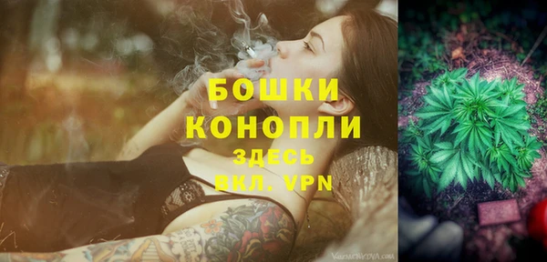 ПСИЛОЦИБИНОВЫЕ ГРИБЫ Богородицк
