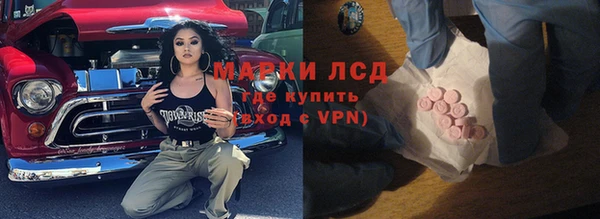 индика Богданович