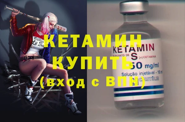 индика Богданович