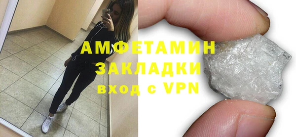 индика Богданович
